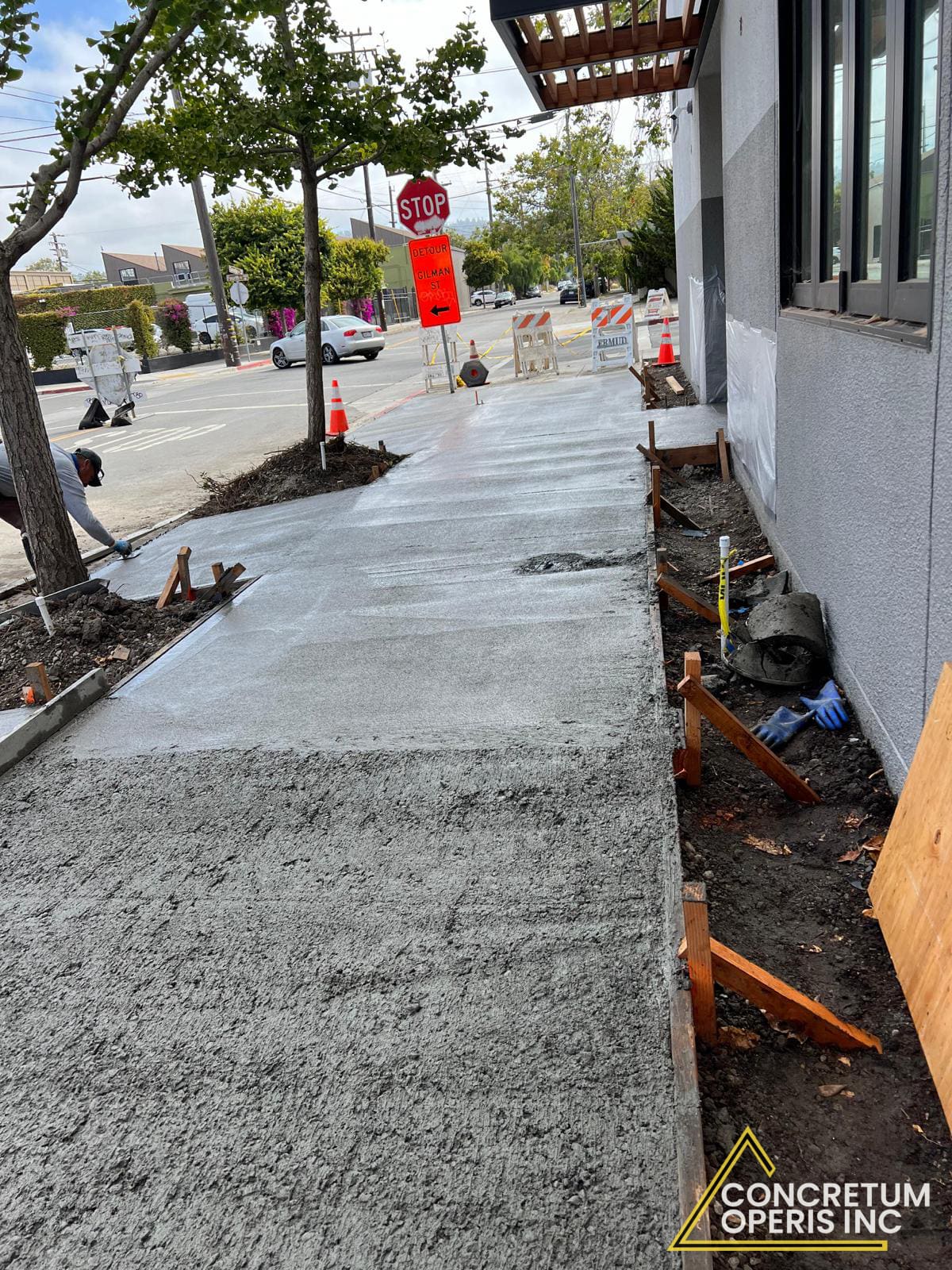 Freshly poured concrete sidewalk along a Berkeley, CA street with traffic cones and signage