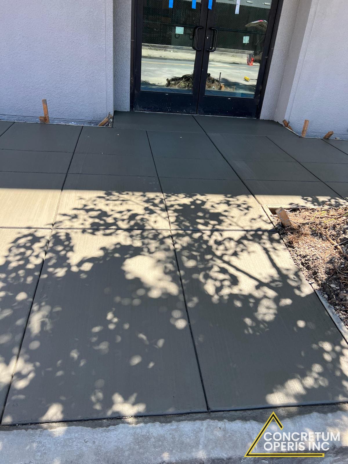 Finished gray concrete sidewalk slabs leading to a commercial building entrance in Berkeley, CA